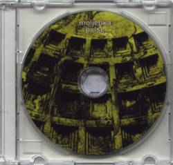 Moljebka Pvlse : Fall in Woodland Cemetery